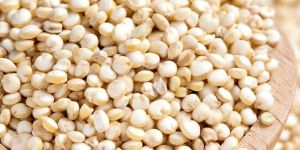 Quinoa Seeds