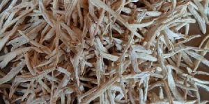 Safed Musli Root