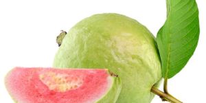 Fresh Guava