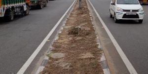 Cargo Tracking Services