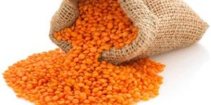 Red Lentils