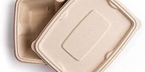 500 Ml Rectangle Compostable Container