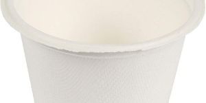 750 Ml Round Compostable Container