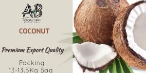 Semi Husked Coconuts