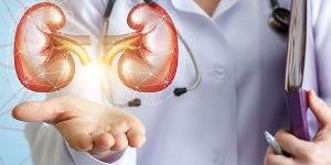 Kidney Dialysis Centers