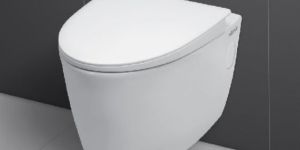 Wall Hung Toilet