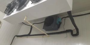 Fruit & Vegetable Cold Storage Room