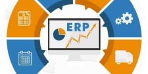 Consultancy ERP Software