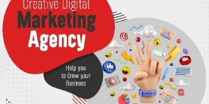 Social Media Management Services