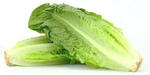 Fresh Romaine Lettuce