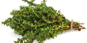 Fresh Thyme