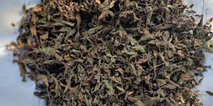Tulsi Leaves