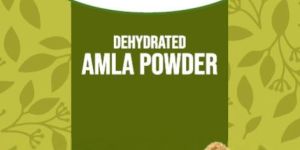 Dehydrated Amla Powder