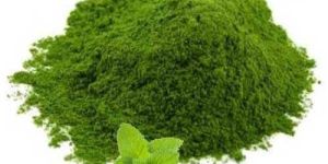 Dehydrated Mint Powder