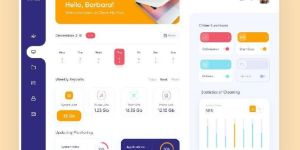 Web Application Software