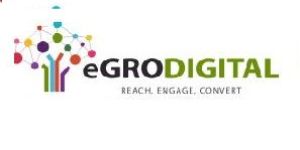 Digital Marketing Agency
