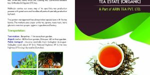 Organic India Green Tea