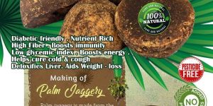 Palm Jaggery