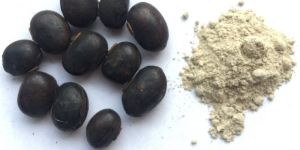 Mucuna Seed Powder