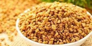 Fenugreek Seed