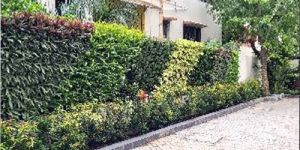 Vertical Green Walls