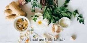 Top Medical Admission Consultancy in UP for Bams Bhms Bums Bds Mds Mbbs