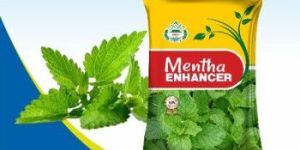 MENTHA ENHANCER