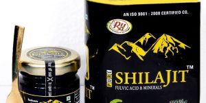 Roshans Shilajit Resin