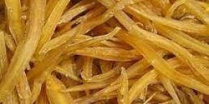 Yellow Shatavari Roots