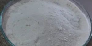 Oenanthol Bisulphate 20% Biofungicide