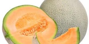 Fresh Muskmelon