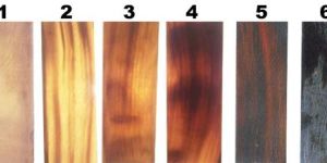 Optical Frame Buffalo Horn Scale