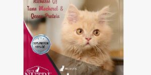 DUX KITTEN FOOD PREMIUM BAG 1.2 KG (PACK OF 12)