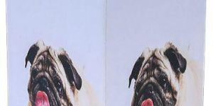 DUX PUP CUFF SYRUP (PACK OF 144)