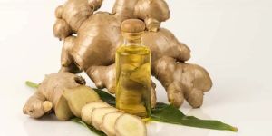 Ginger Oil