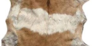Raw Goat Hides