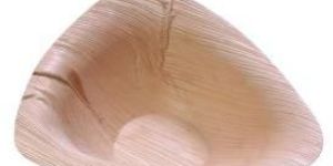 Areca Leaf Triangle Bowl
