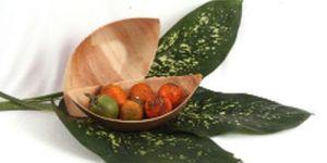 Boat Shaped Areca Leaf Plate