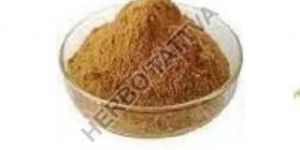 Tulsi Dry Extract- Ocimum Sanctum (Tannin 5%-15%, Ursolic Acid 2.5% - 2.5%)