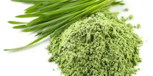 Wheat Grass Powder