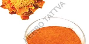 Zeaxanthin Extract