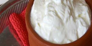 Fresh Curd