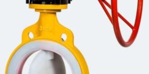 PTFE/Teflon Butterfly Valve