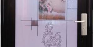 Printed Bathroom Door