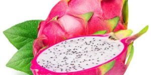 Fresh Dragon Fruit