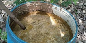 Jivamrut Organic Slurry