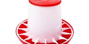 2Kg Poultry Chick Feeder