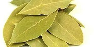 Dried Bay Leaves