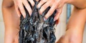 Tea Tree & Green Tea Shampoo