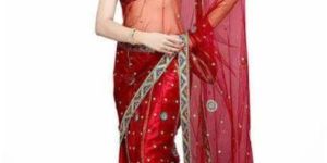 Net Saree